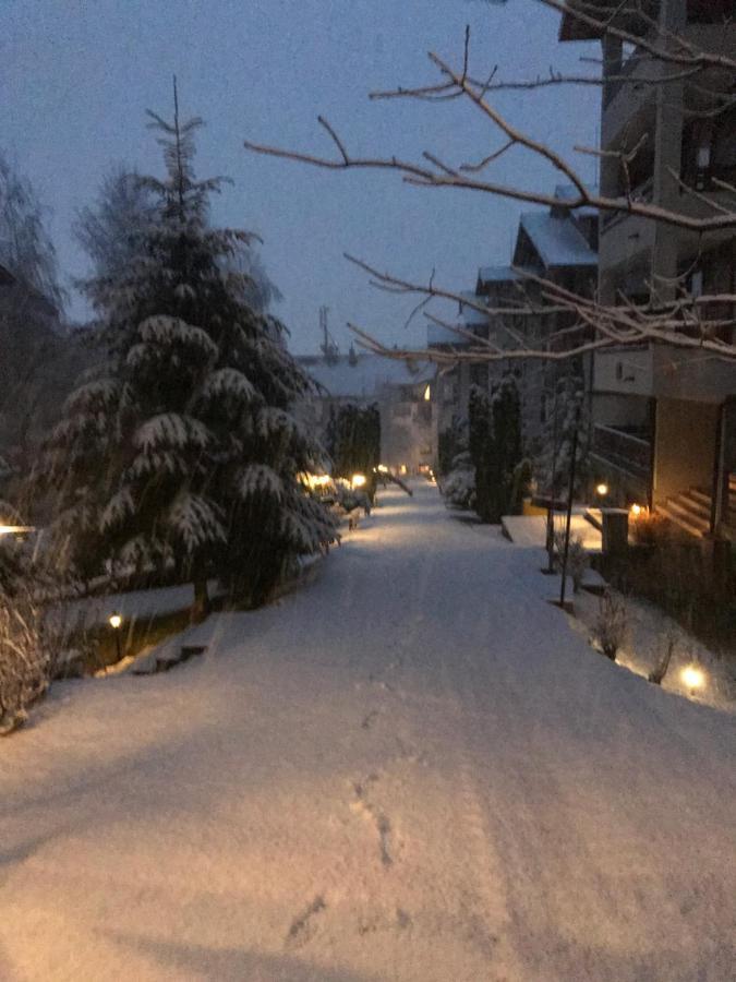 Private Spa Luxury Apartments Bansko Eksteriør bilde