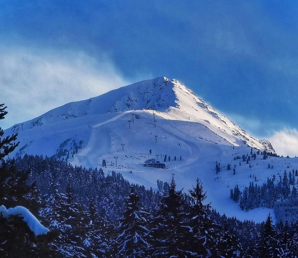 Private Spa Luxury Apartments Bansko Eksteriør bilde